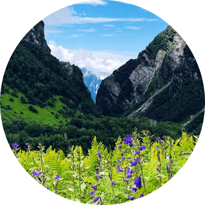 Valley of FLowers