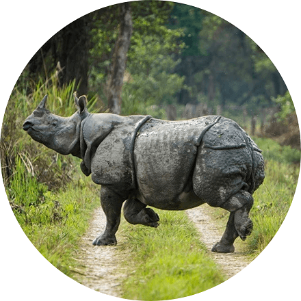 Pokhara Chitwan Nepal