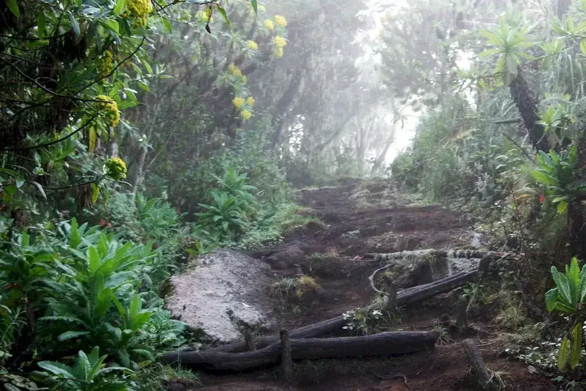 Kilimanjaro Machame