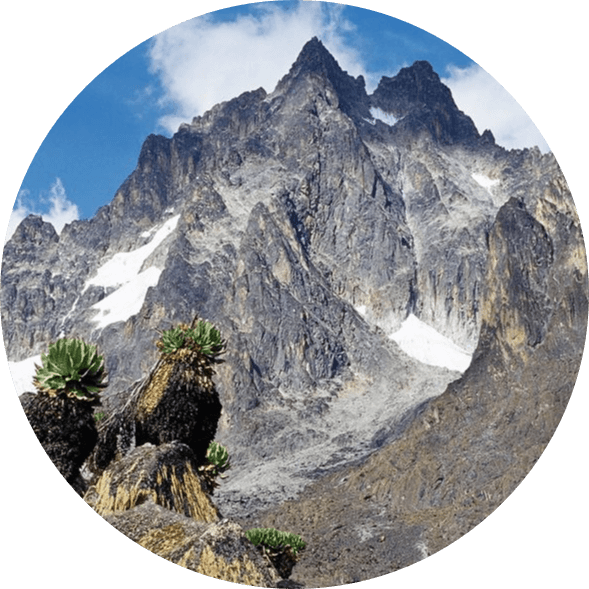Mt Kenya
