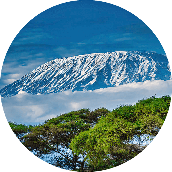 Kilimanjaro Lemosho