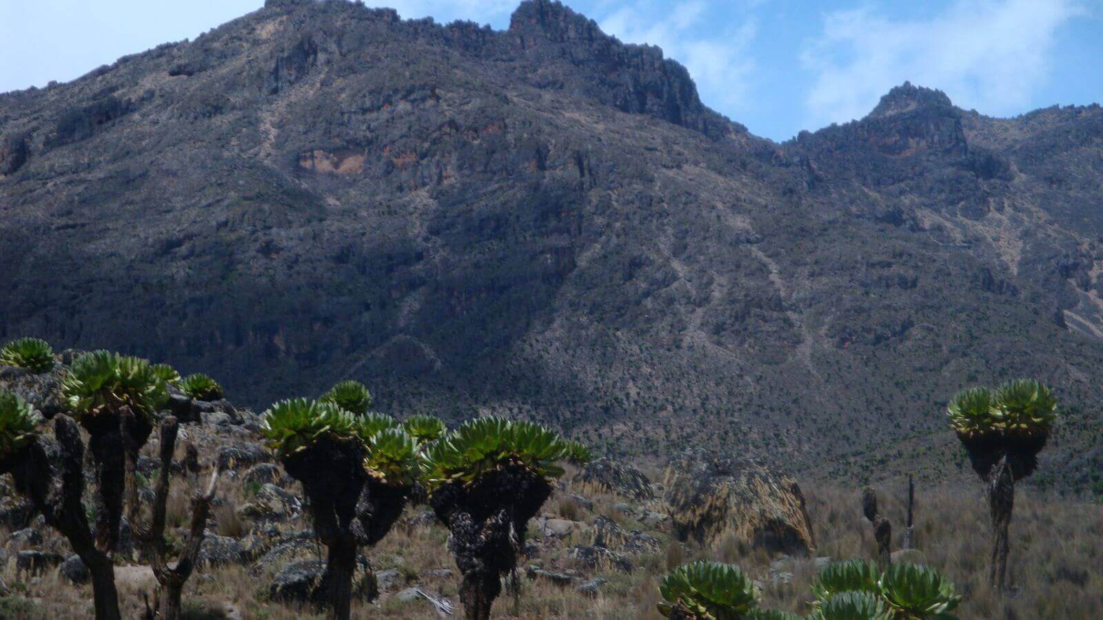 mt kenya climb