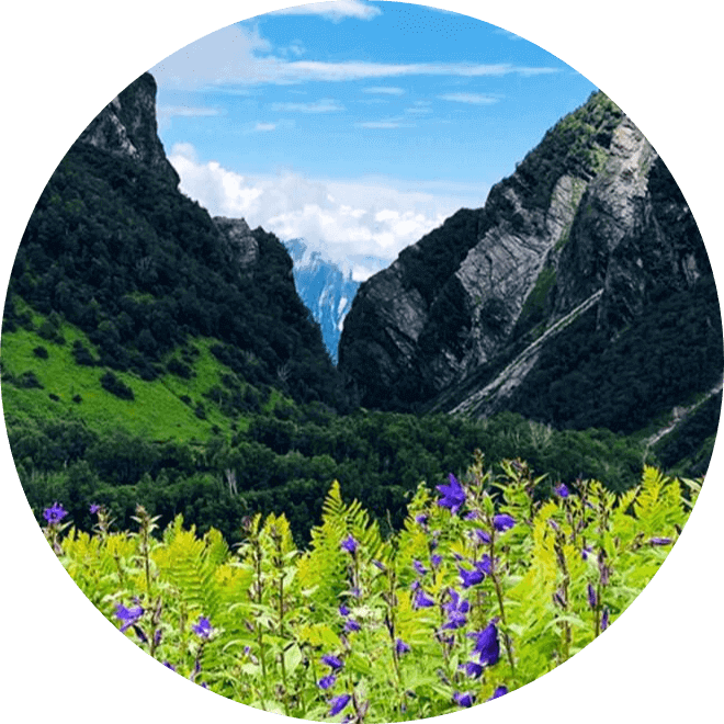 Annapurna