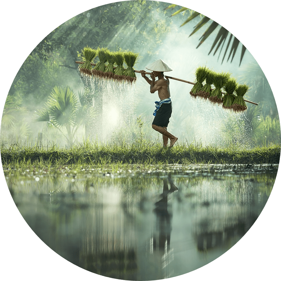 Laos