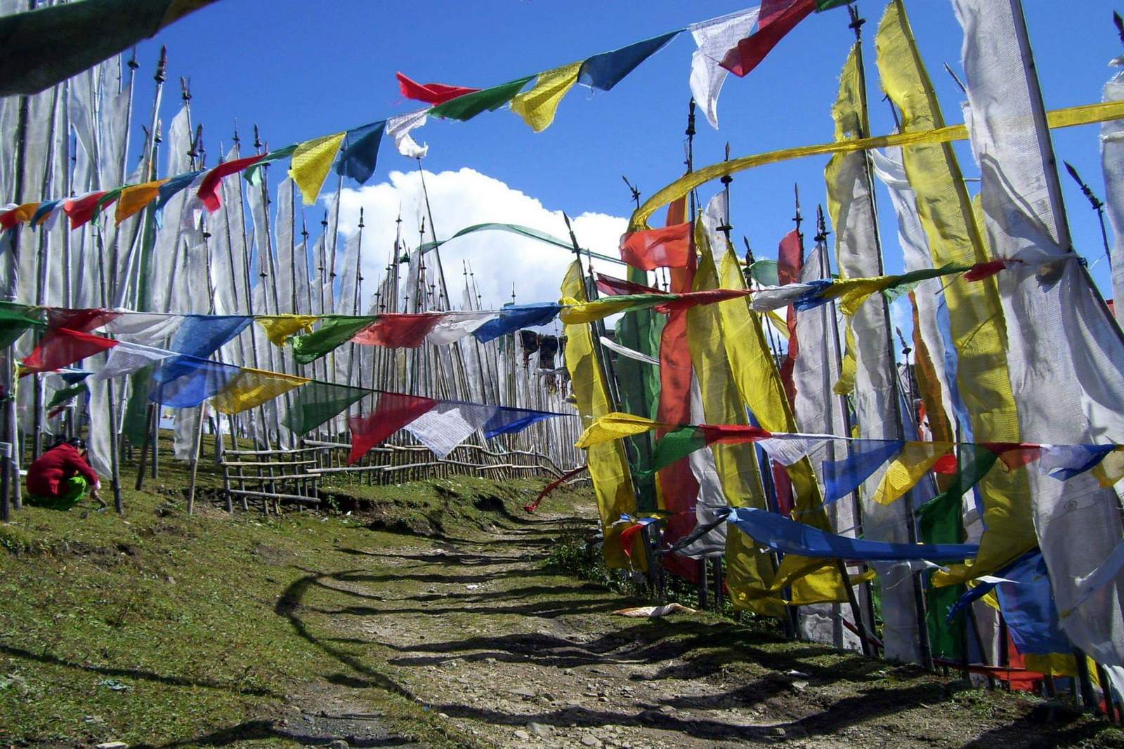 chellela pass bhutan